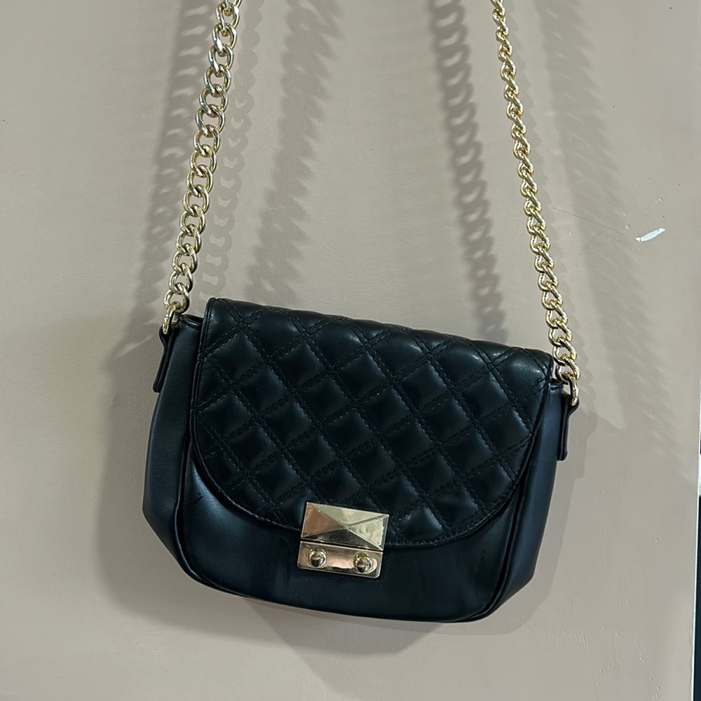Black and Gold Purse